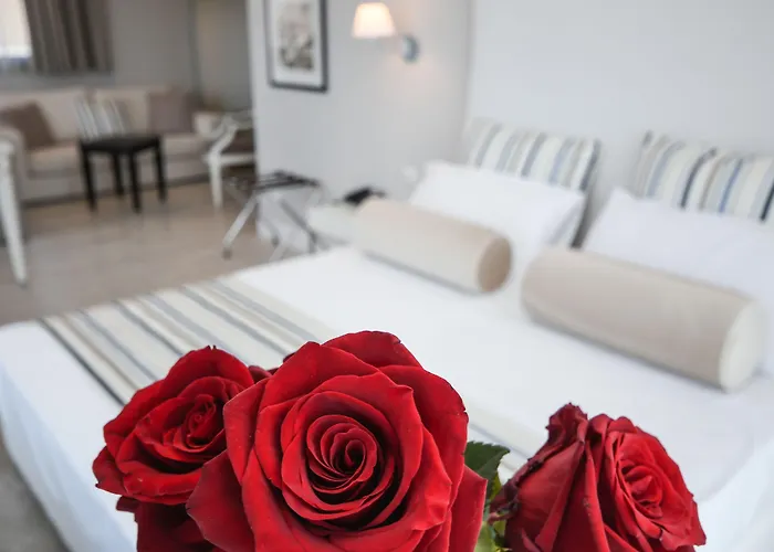 Oliveto 4* דסנזאנו דל גארדה